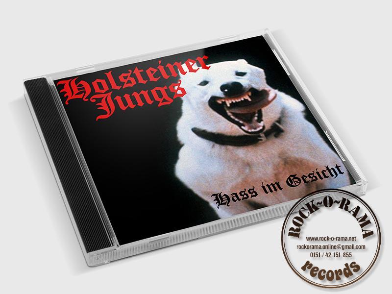 Image of the cover of the Holsteiner Jungs CD Hass im Gesicht